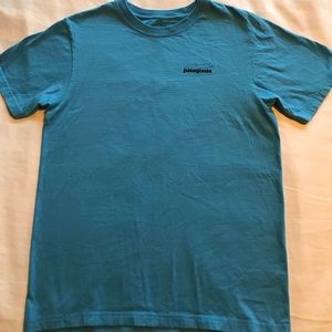 PATAGONIA FITZ ROY TREVALLY COTTON T SHIRT